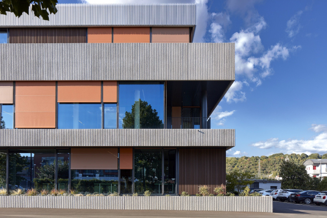 ����-�������� �������� Cantina Montelliana � ������������