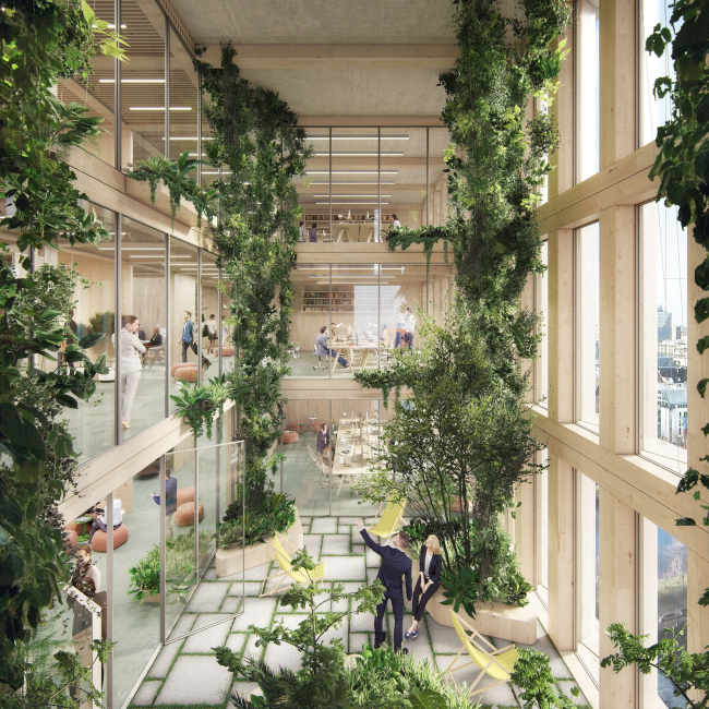 ������ ����������� ������������� ������������ � TVG