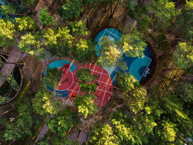 ����������� ���� � �������������