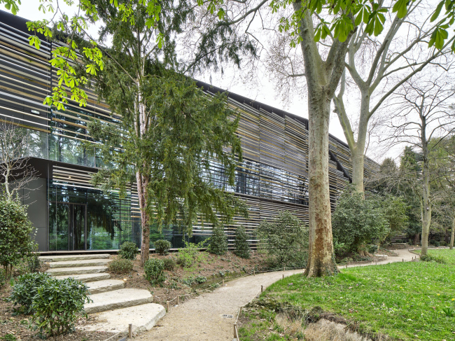 ����� ������� ���� � ������