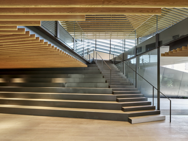 ����� ������� ���� � ������