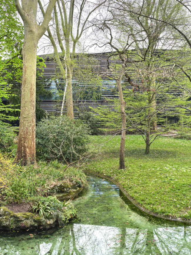 ����� ������� ���� � ������