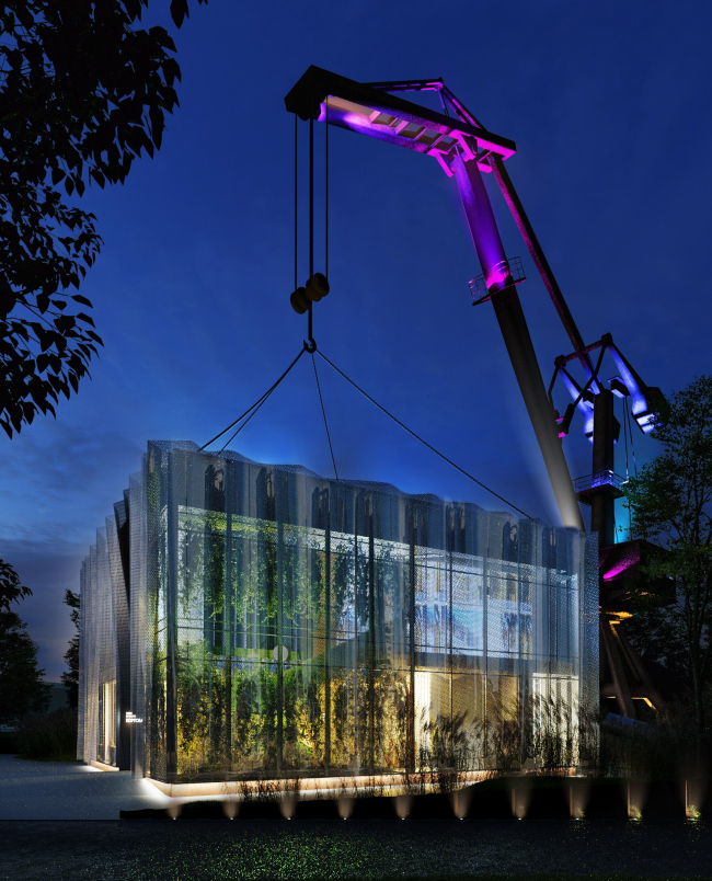 ���� ������, ������