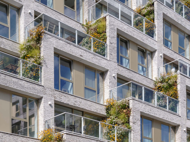 ����� �������� The Twins