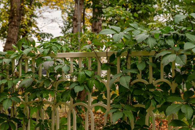 ��������������� ����������