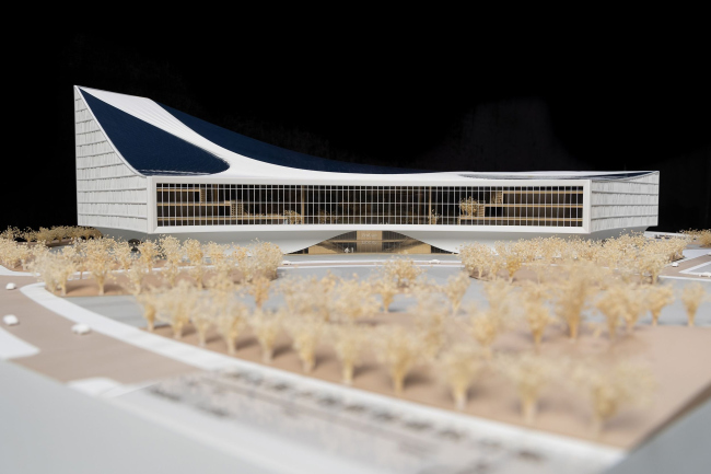 ����������� ���������� �����