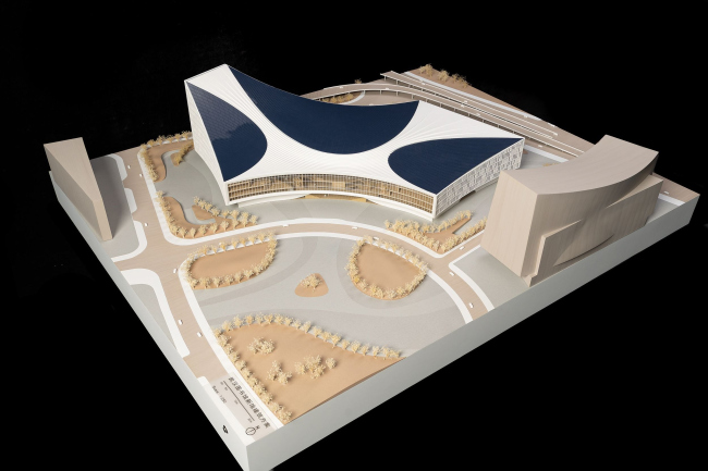 ����������� ���������� �����