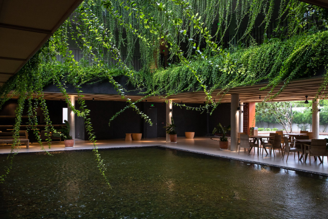  Wyndham