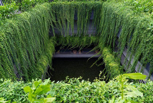 ������� ������ Wyndham