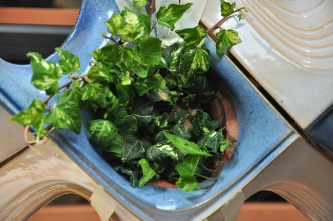 �������� ������, ���������� Buro Happold � COOKFOX Architects