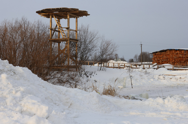 �������. ���������� ������. ������� 01.2023