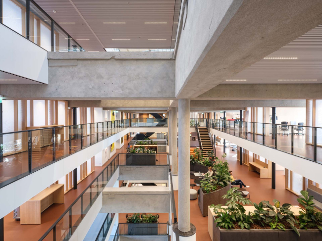 ������ ����������������� � �������������