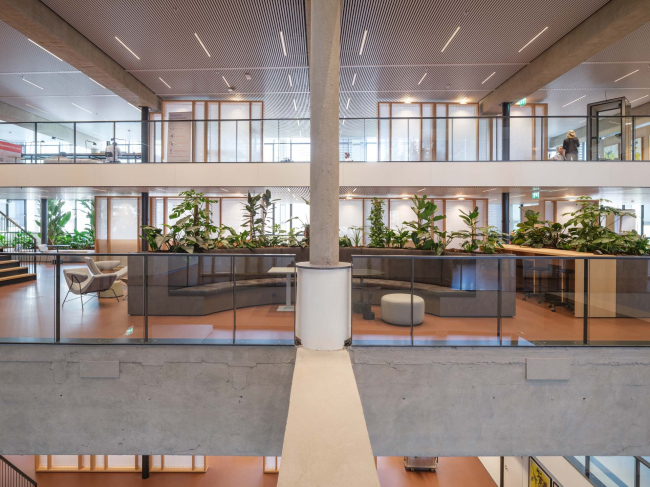 ������ ����������������� � �������������