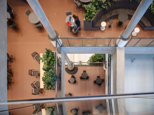 ������ ����������������� � �������������