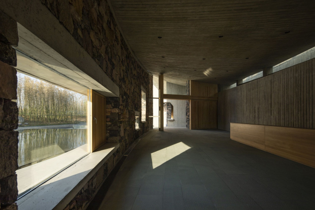 ���-����� OCT � �����