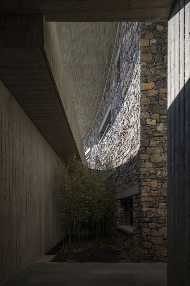 ���-����� OCT � �����