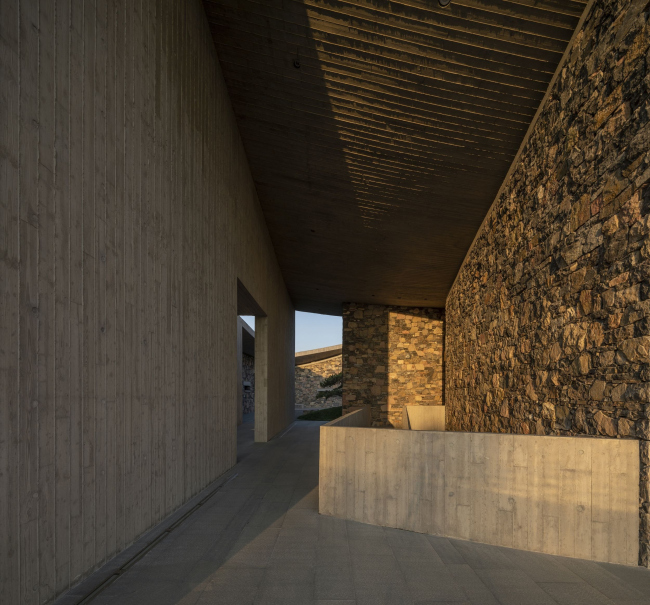 ���-����� OCT � �����