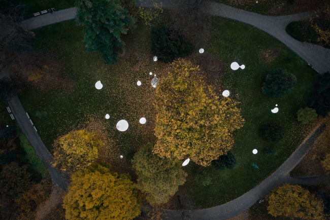 �������� �����. ��������-�����������