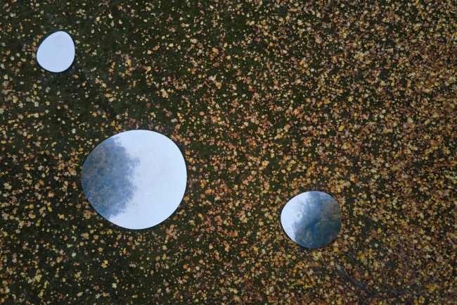 �������� �����. ��������-�����������