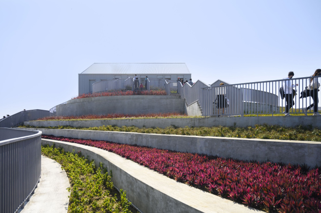 ����� ����� � ������ �������