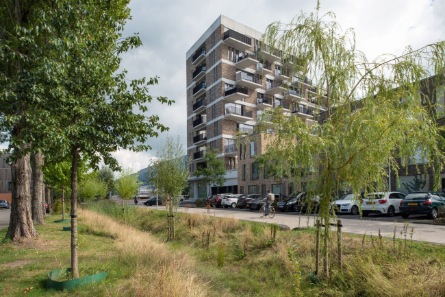 ����� �������� Hogekwartier