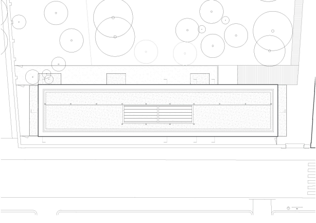 ������� ���� ��� ������ ����� � ������