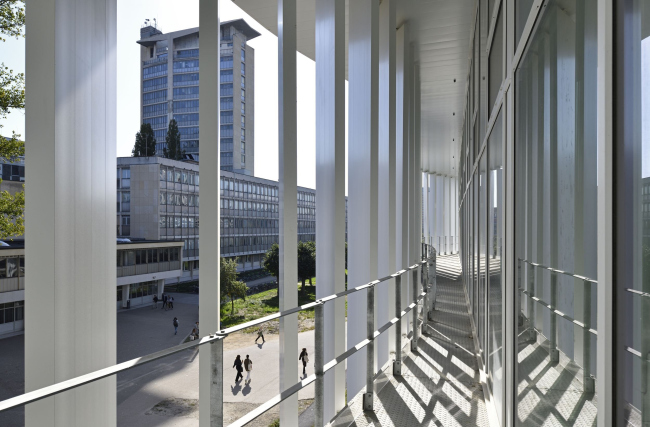 ������ Le Studium ��� �������������� ������������