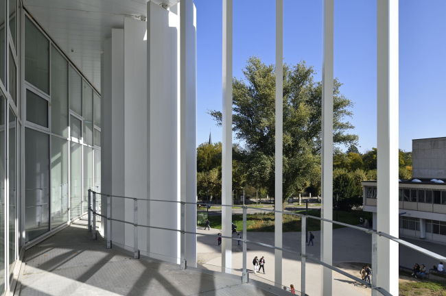 ������ Le Studium ��� �������������� ������������