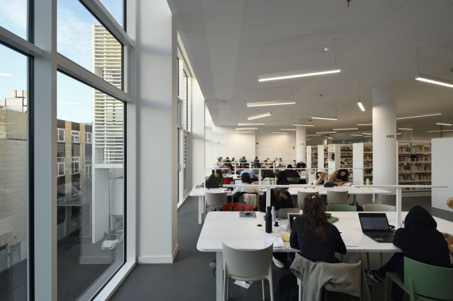 ������ Le Studium ��� �������������� ������������