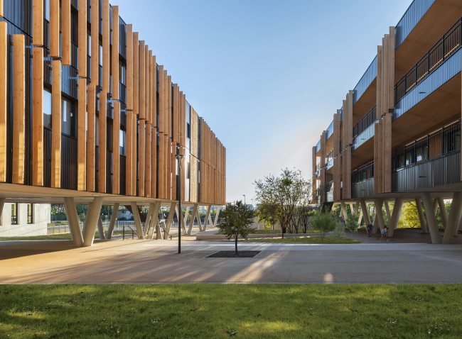 ������� ����� ���-������