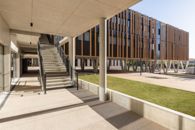 ������� ����� ���-������