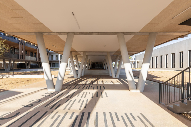 ������� ����� ���-������