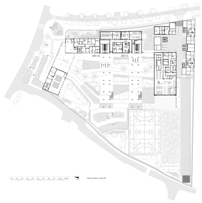 ������� ����� ���-������