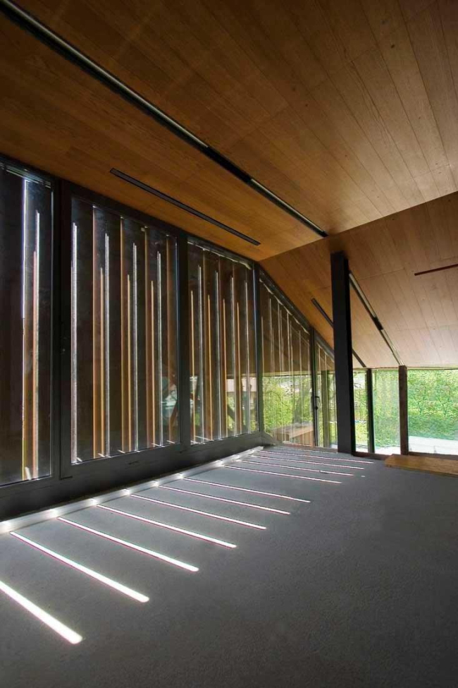 ����� ������� ����� � Ofis