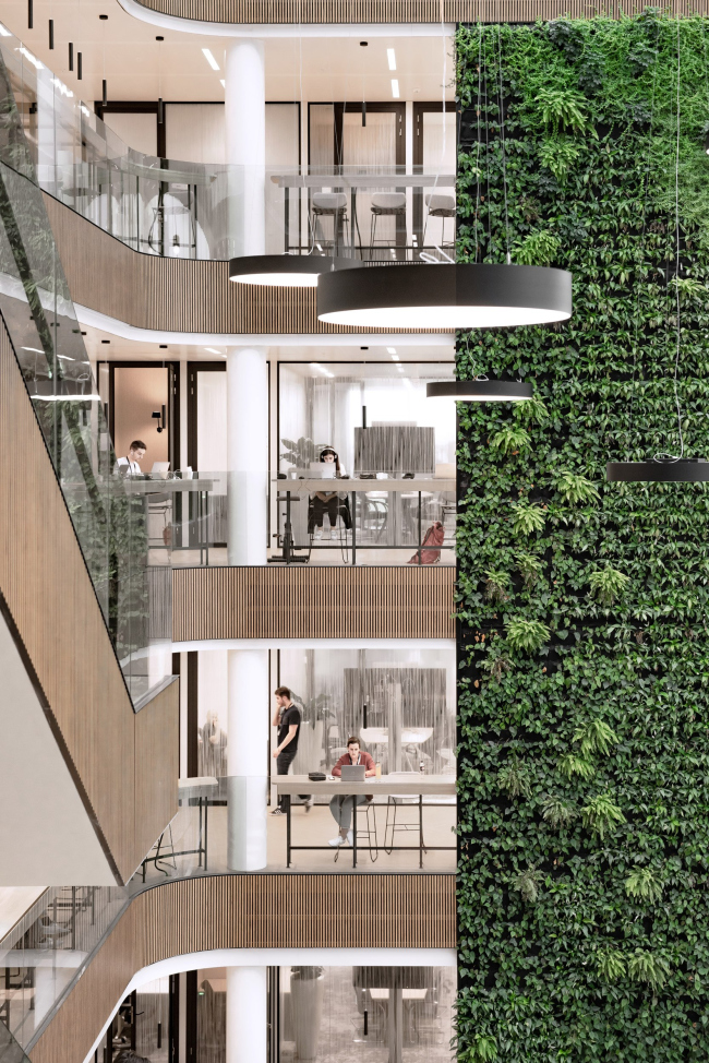 ����-�������� Danone � �����������