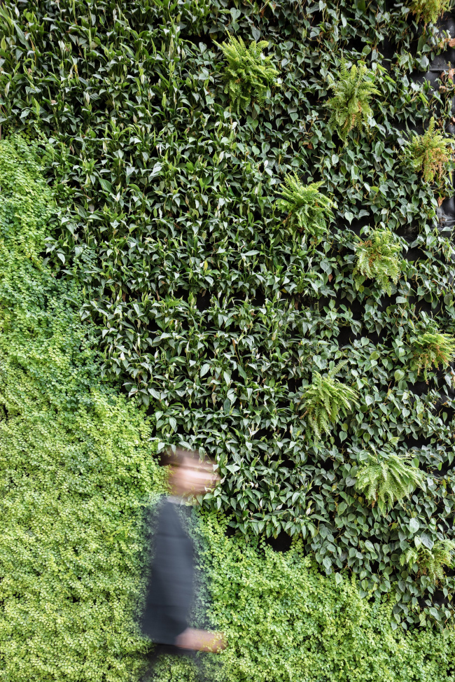 ����-�������� Danone � �����������