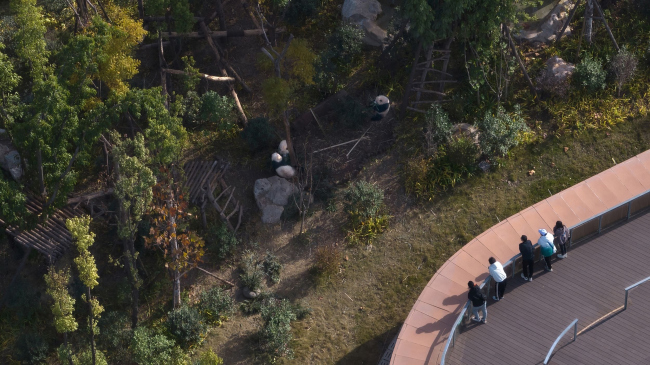 ��������� ��� ����