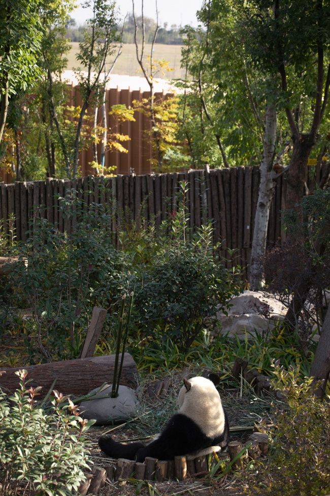 ��������� ��� ����