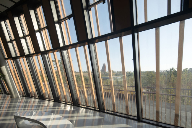 ��������� ��� ����