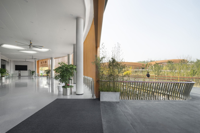 ��������� ��� ����