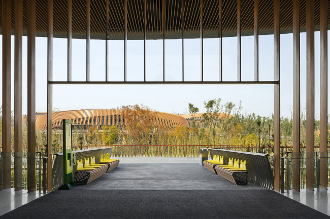 ��������� ��� ����