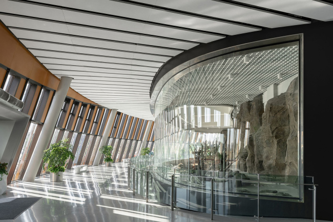 ��������� ��� ����