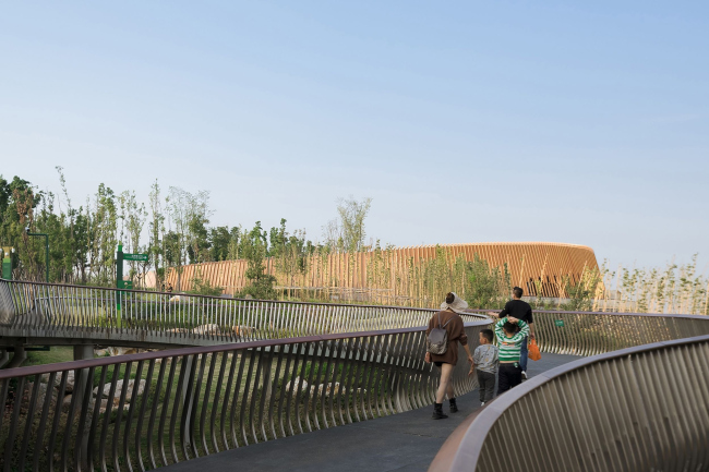 ��������� ��� ����