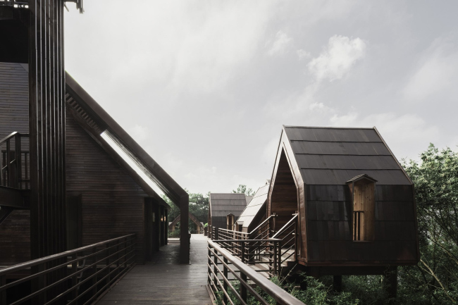 ��������� ������� �� �������� ���� ������