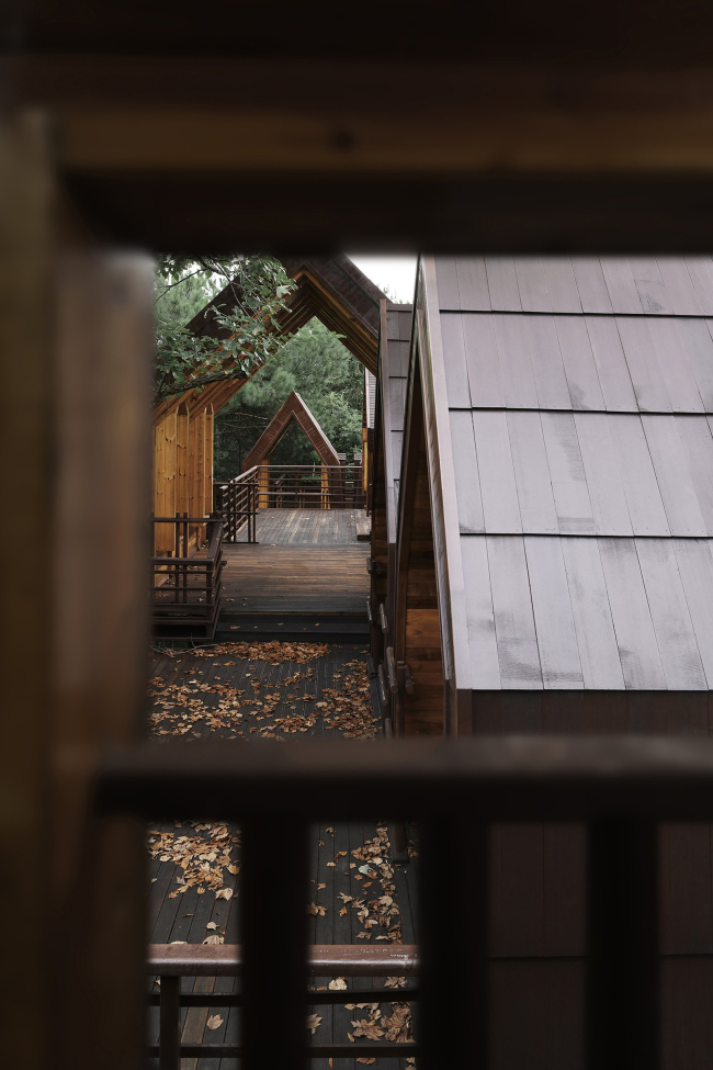 ��������� ������� �� �������� ���� ������