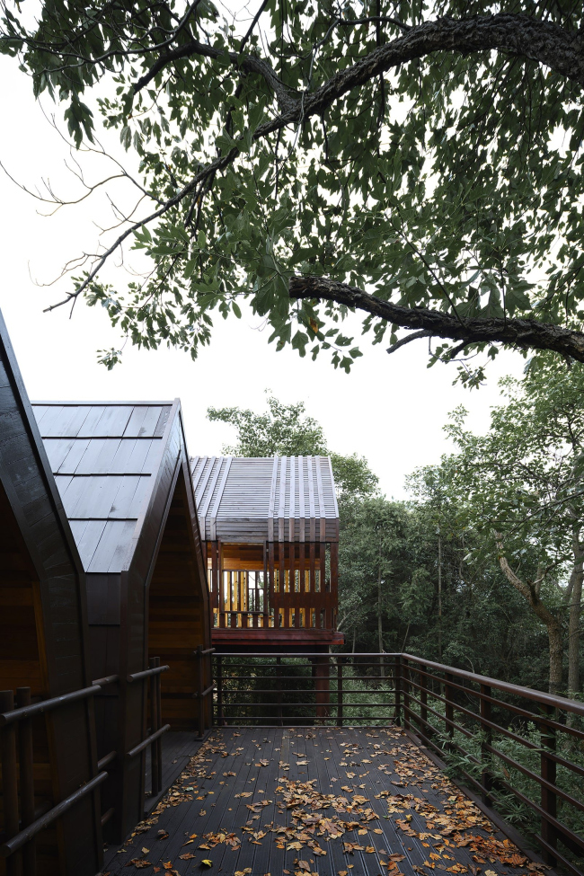 ��������� ������� �� �������� ���� ������