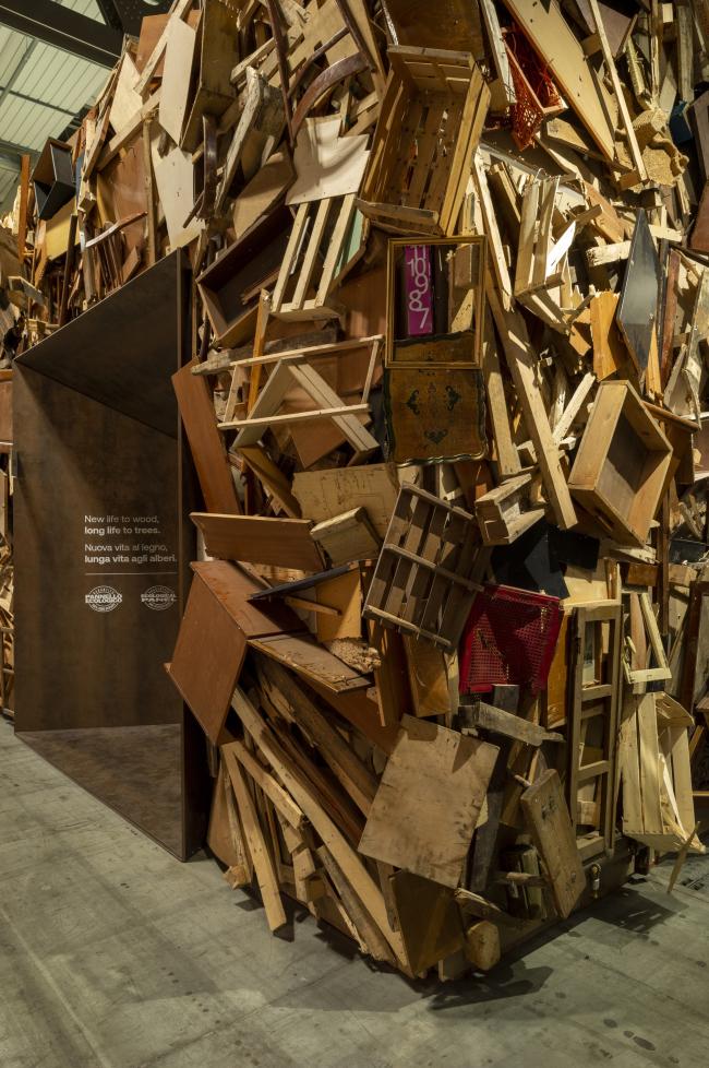 �������� Wood You Believe?