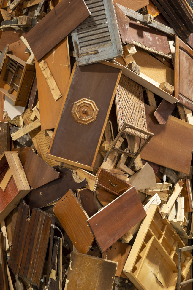 �������� Wood You Believe?