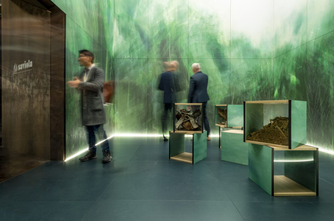 �������� Wood You Believe?