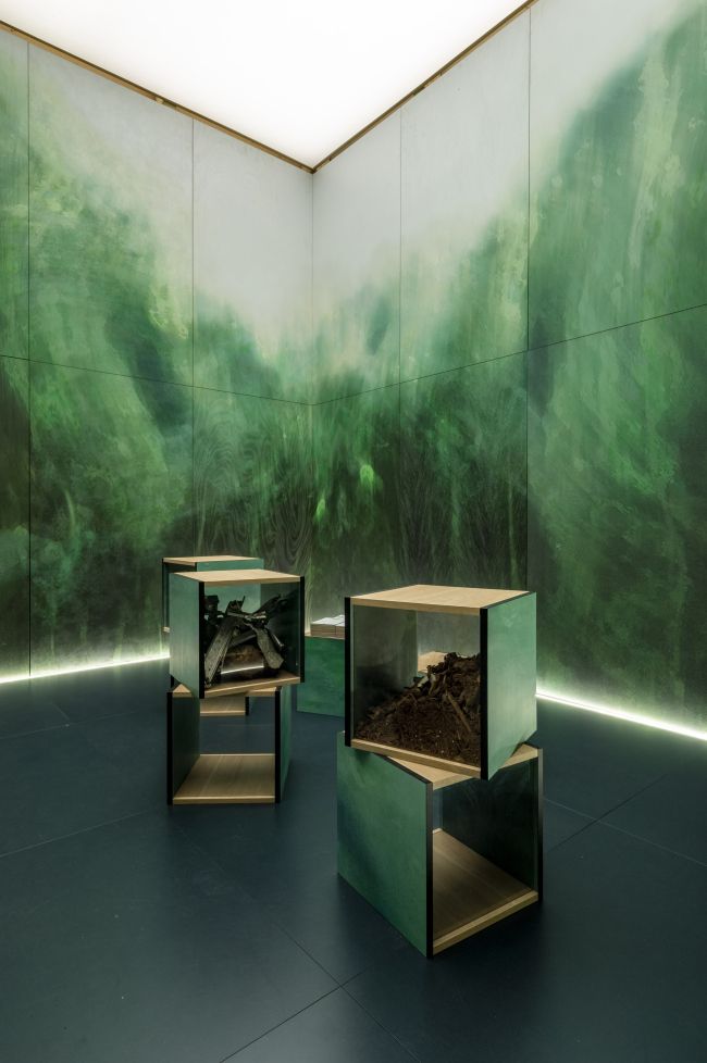 �������� Wood You Believe?